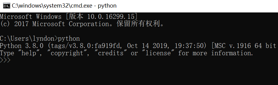 安装Python并启动